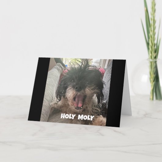 EIN ERNSTHAFTER HUND SAGT "GLÜCKLICH 40. GEBURTSTA KARTE (Vorderseite)