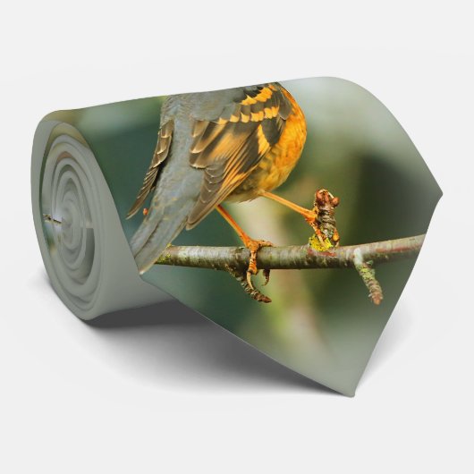 Ein erstaunlicher, aber sicherer, schöner, abwechs krawatte (Gerollt)