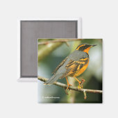 Ein erstaunlicher, aber sicherer, schöner, abwechs magnet (Vorderseite/Rückseite)