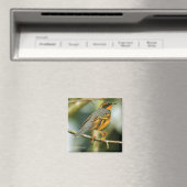 Ein erstaunlicher, aber sicherer, schöner, abwechs magnet (In Situ (Geschirrspüler))