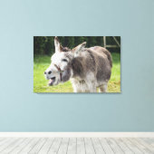 Ein Esel Leinwanddruck (Insitu (Holzboden))