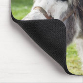 Ein Esel Mousepad (Ecke)