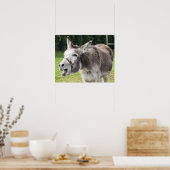 Ein Esel Poster (Küche)