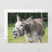 Ein Esel Postkarte (Vorne/Hinten)