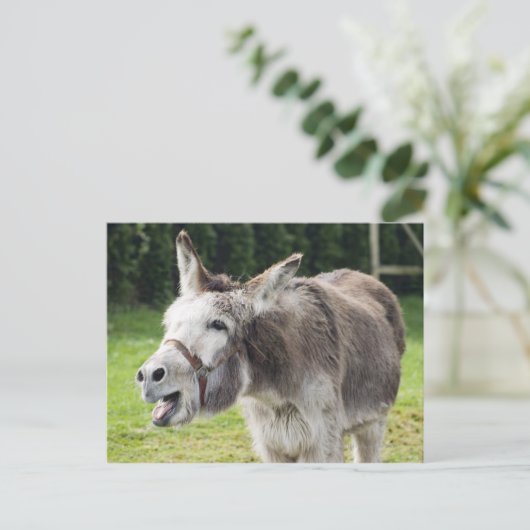 Ein Esel Postkarte (Stehend Vorderseite)