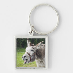 Ein Esel Schlüsselanhänger