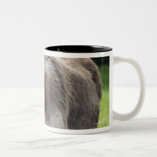 Ein Esel Zweifarbige Tasse