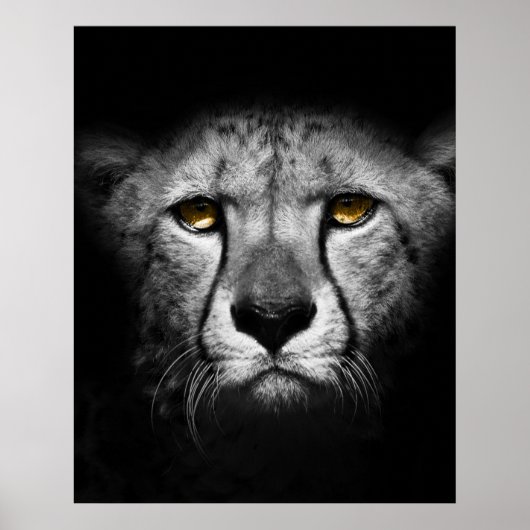 Ein exotisches afrikanisches Tier Poster (Vorne)