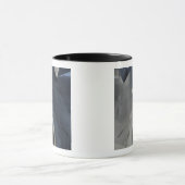 Ein F-22 Raptor bewegt sich in Position, um f zu e Tasse (Zentrum)