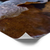 Ein farbenfroher Felsen, der auf dem Poster des Wa (Ecke)