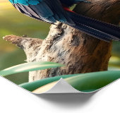 Ein farbenfroher Tukan, tropischer Dschungel Poster (Ecke)