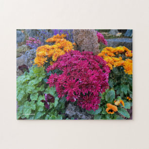 Ein farbenfrohes Durcheinander von Herbst-Chrysant Puzzle