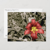 Ein Farbtupfer Postkarte (Vorne/Hinten)