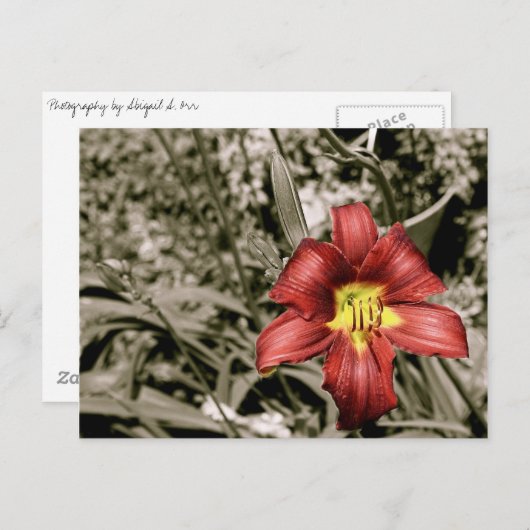 Ein Farbtupfer Postkarte (Vorne/Hinten)