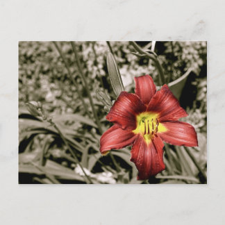 Ein Farbtupfer Postkarte