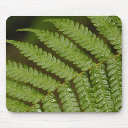 Ein Farn-Detail, aus dem Mindo Cloud Forest, Mousepad (Vorne)