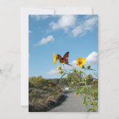 Ein faszinierendes Spektakel Einladung (Vorderseite)