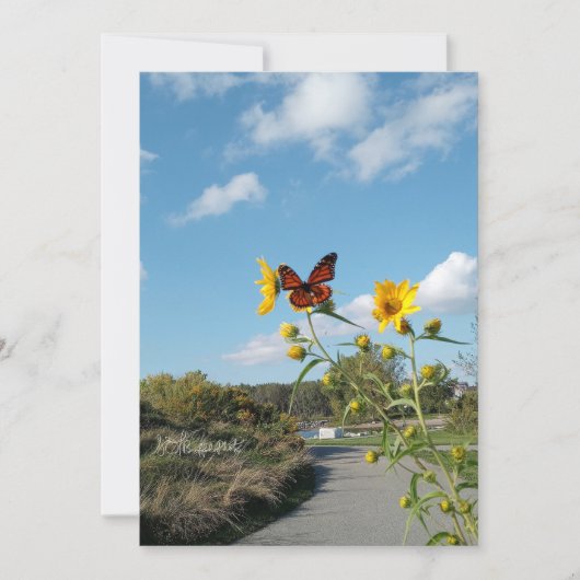 Ein faszinierendes Spektakel Einladung (Vorderseite)