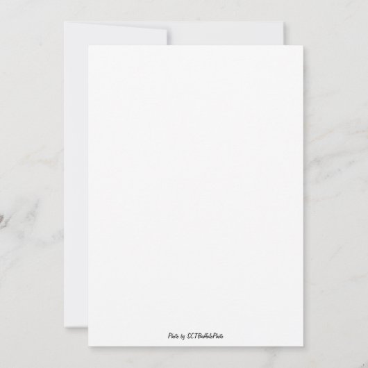 Ein faszinierendes Spektakel Einladung (Rückseite)