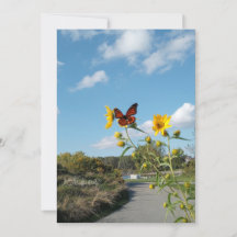 Ein faszinierendes Spektakel