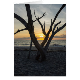 Ein fauler Sonnenaufgang