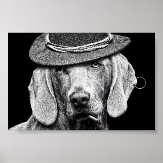 Ein feiner Hund in einem Punkhut. Poster (Vorne)