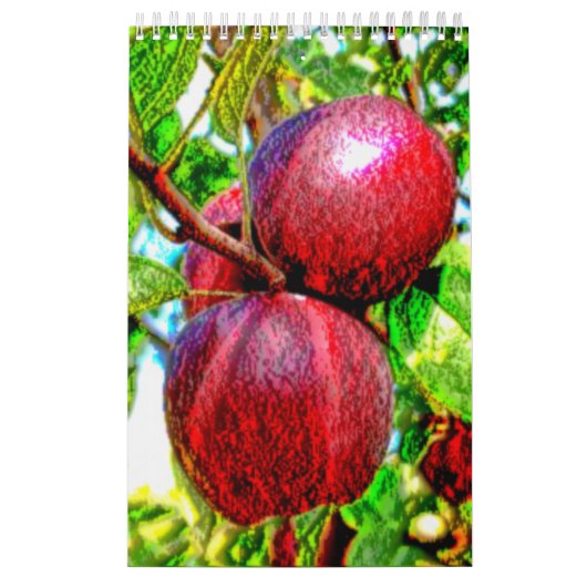 Ein Feinschmecker-Kalender Kalender (Titelbild)