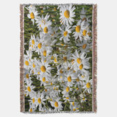 Ein Feld der Oxeye-Daisies an einem sonnigen Somme Decke (Vorderseite Vertikal)