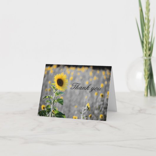 Ein Feld der Sonnenblumen in Schwarz und Weiß Dankeskarte (Vorderseite)