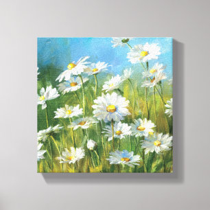 Ein Feld der weißen Gänseblümchen Leinwanddruck