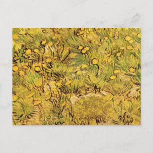 Ein Feld gelber Blumen von Vincent van Gogh Postkarte