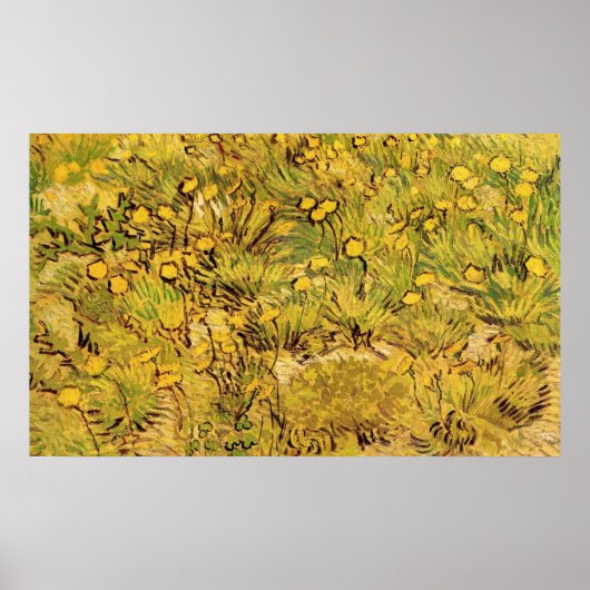 Ein Feld gelblicher Blume, Vincent Van Gogh Poster (Vorne)