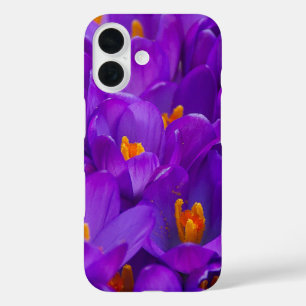Ein Feld Lila Kreuze iPhone 16 Hülle