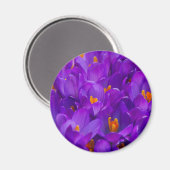 Ein Feld Lila Kreuze Magnet (Vorderseite/Rückseite)