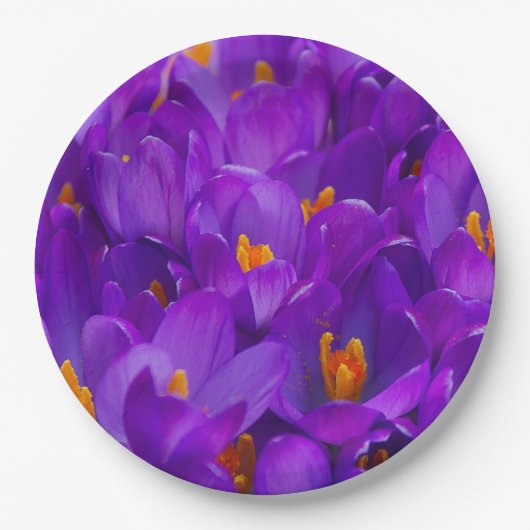 Ein Feld Lila Kreuze Pappteller (Vorderseite)