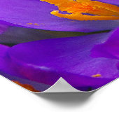 Ein Feld Lila Kreuze Poster (Ecke)