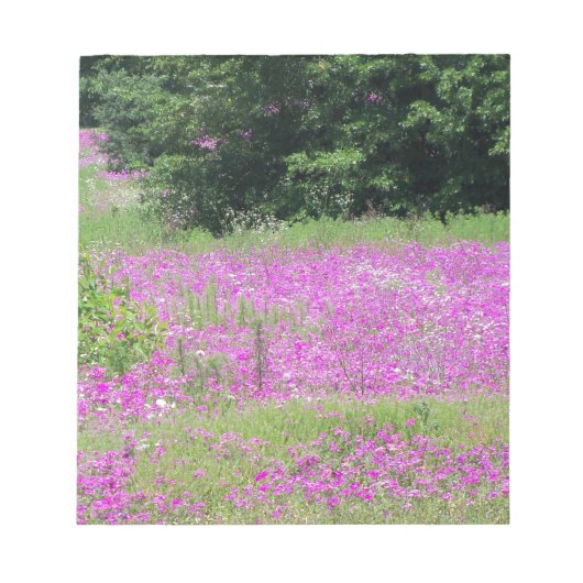 Ein Feld rosa Frühlingswildblumen Notizblock (Vorderseite)