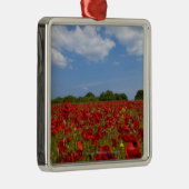 Ein Feld voll der roten Blumen Silbernes Ornament (Rechts)