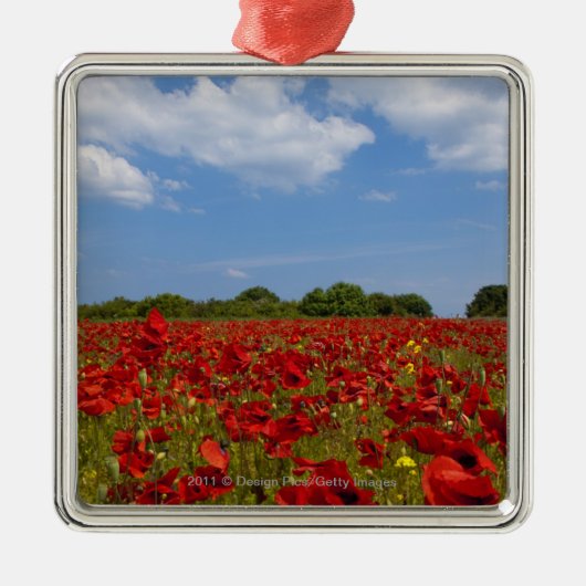 Ein Feld voll der roten Blumen Silbernes Ornament (Vorne)