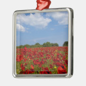 Ein Feld voll der roten Blumen Silbernes Ornament (Links)