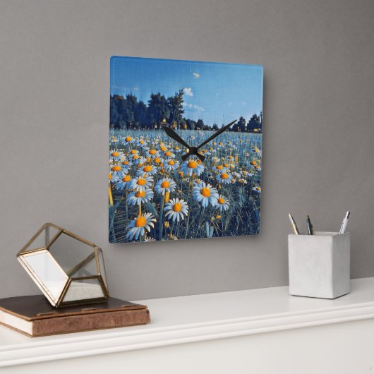Ein Feld voller blühender Kampomilen Quadratische Wanduhr (Büro)