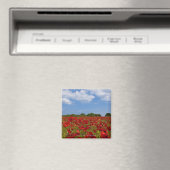 Ein Feld voller roter Blume Magnet (In Situ (Geschirrspüler))