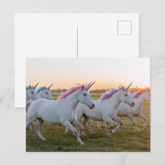 Ein Feld von Einhörnern Postkarte (Vorne/Hinten)