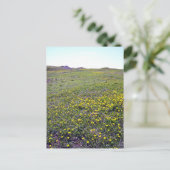 Ein Feld von Leuchten Postkarte (Stehend Vorderseite)
