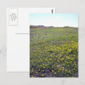 Ein Feld von Leuchten Postkarte (Vorne/Hinten)