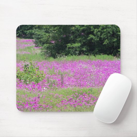 Ein Feld von rosa Frühlingsfrühlingstraßen-Wildblu Mousepad (Mit Mouse)