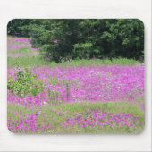 Ein Feld von rosa Frühlingsfrühlingstraßen-Wildblu Mousepad (Vorne)