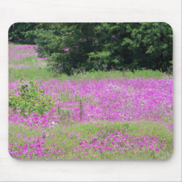 Ein Feld von rosa Frühlingsfrühlingstraßen-Wildblu Mousepad