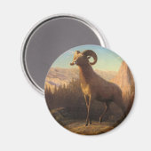ein felsiges Bergschaf, Bierstadt Albert Magnet (Vorderseite/Rückseite)