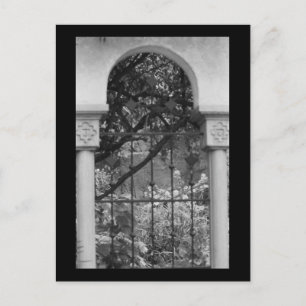 Ein Fenster in die Natur Postkarte